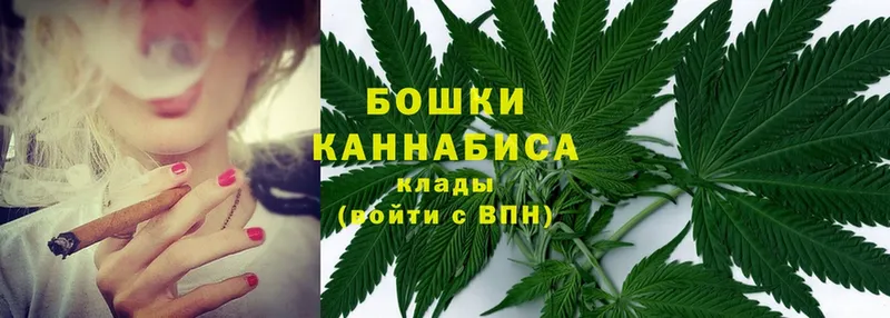 Конопля LSD WEED  Заполярный 